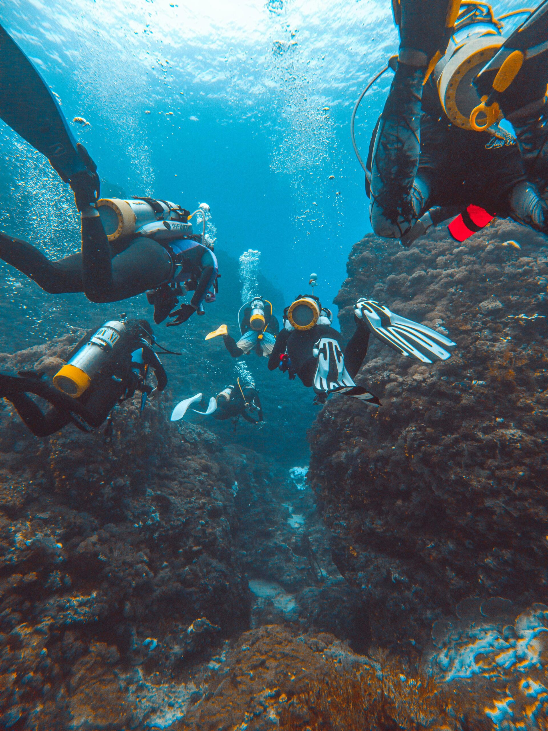 Why Group Dive Trips Are More Fun (and Safer!)